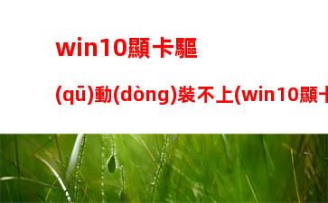 win10顯卡驅(qū)動(dòng)裝不上(win10顯卡驅(qū)動(dòng)裝不上顯示代碼43)