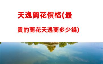 平板電腦跟筆記本電腦哪個好(平板電腦跟筆記本電腦的區(qū)別)