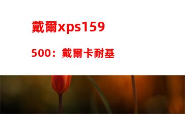 戴爾筆記本電腦如何強(qiáng)制關(guān)機(jī)：戴爾筆記本電腦怎么強(qiáng)制重啟