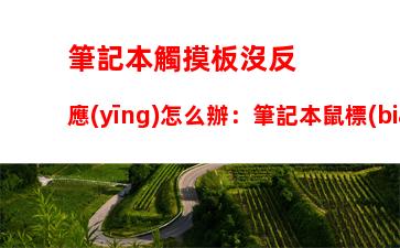 nvidia驅(qū)動卸載不干凈，打印機(jī)驅(qū)動卸載不干凈