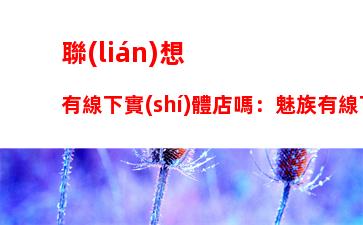 聯(lián)想有線下實(shí)體店嗎：魅族有線下實(shí)體店嗎