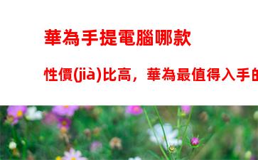 華為手提電腦哪款性價(jià)比高，華為最值得入手的筆記本