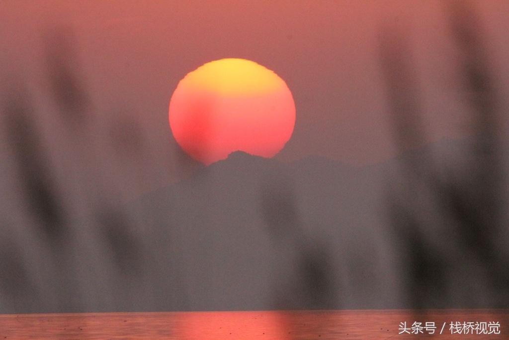 真漂亮！佳能60D騰龍150 600拍的最美不過夕陽紅，溫馨又從容